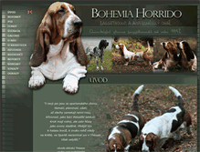 Tablet Screenshot of bohemia-horrido.com